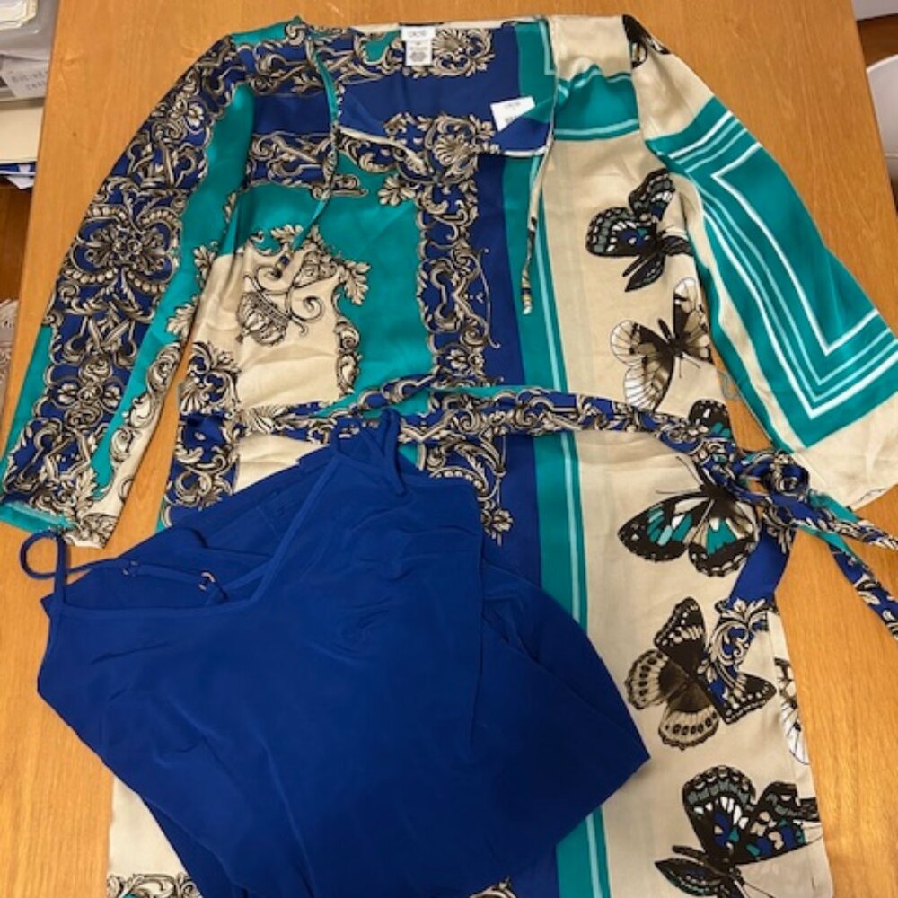 NWT Cache sleek shift style dress with matching slip - XS